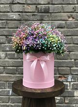 Цветочная композиция из Гипсофила и Розы в шляпной коробке #REPLACE_PRED# Нагорном